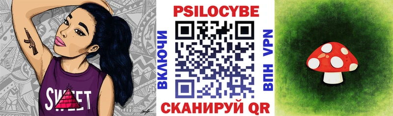 купить наркоту Лосино-Петровский Галлюциногенные грибы Psilocybe